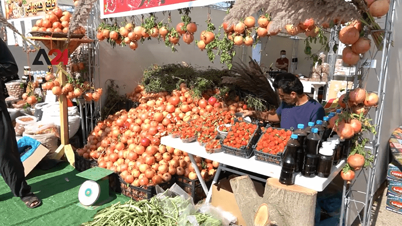 Iraq - Halabja Pomegranate Festival Provides Iraq with 10 billion dinars