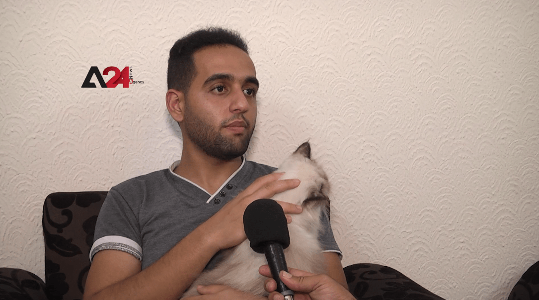 فلسطين – افتتاح أول صالون حلاقة للقطط في قطاع غزة