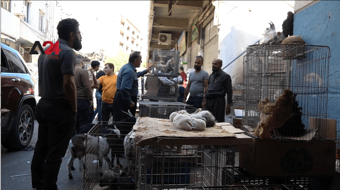 Iraq - 'Under the Bridge' market for the sale of animals from Sulaymaniyah oldest markets