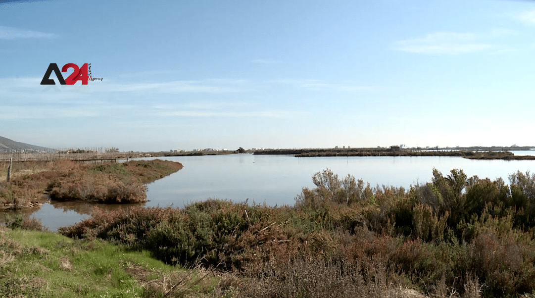 Tunisia - Ghar el Melh town, a distinctive agricultural experiment in seawater irrigation