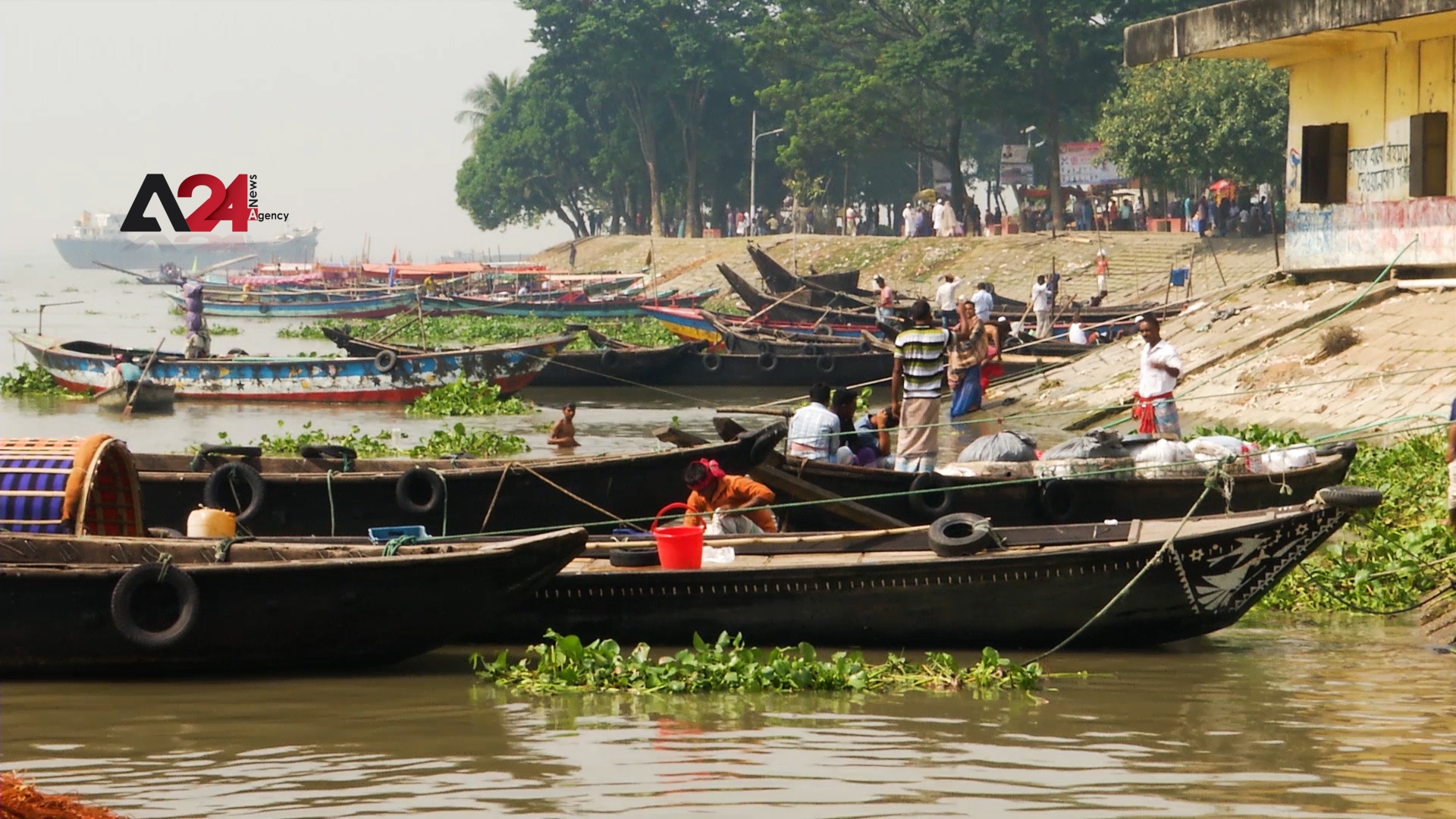 بنغلاديش – أسماك هيلسا.. ثروة وطنية ورمز مرتبط ببنغلاديش