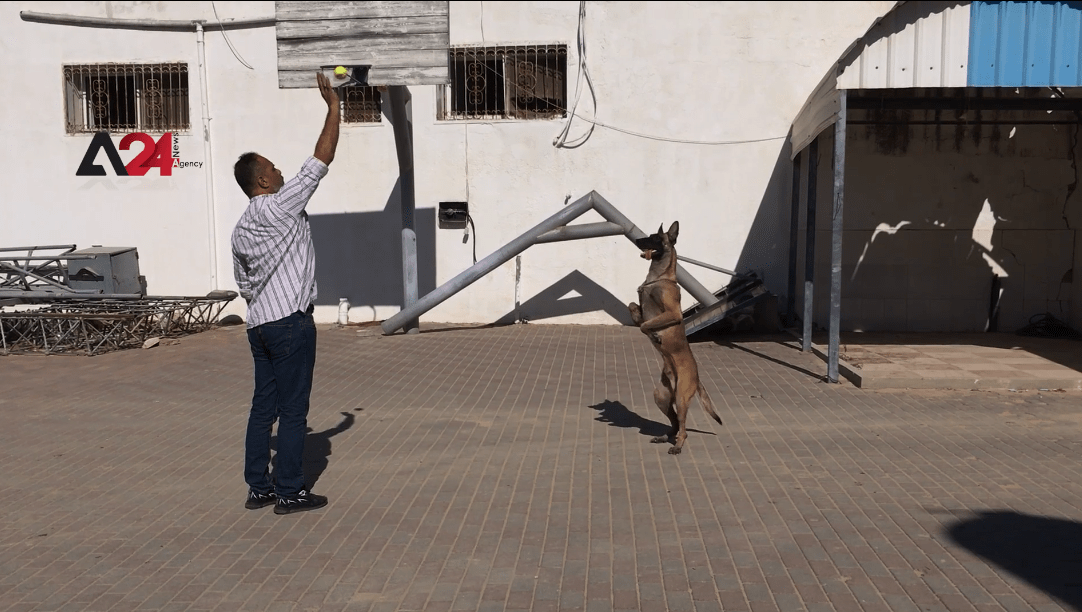 فلسطين- مدرب كلاب يحول هوايته إلى مهنة تؤمن له عائدا ماديا