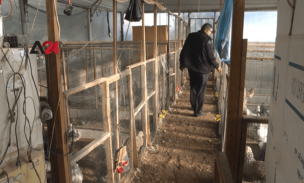 فلسطين- تحديات عديدة تواجه هواة تربية الطيور الغريبة في غزة