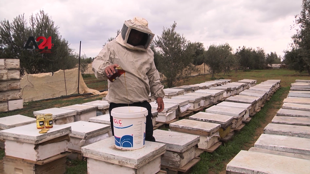 Palestine- A Beekeeper from Gaza Feeds his Bees Natural Honey Mixed with Water in Winter to Scale-up Production