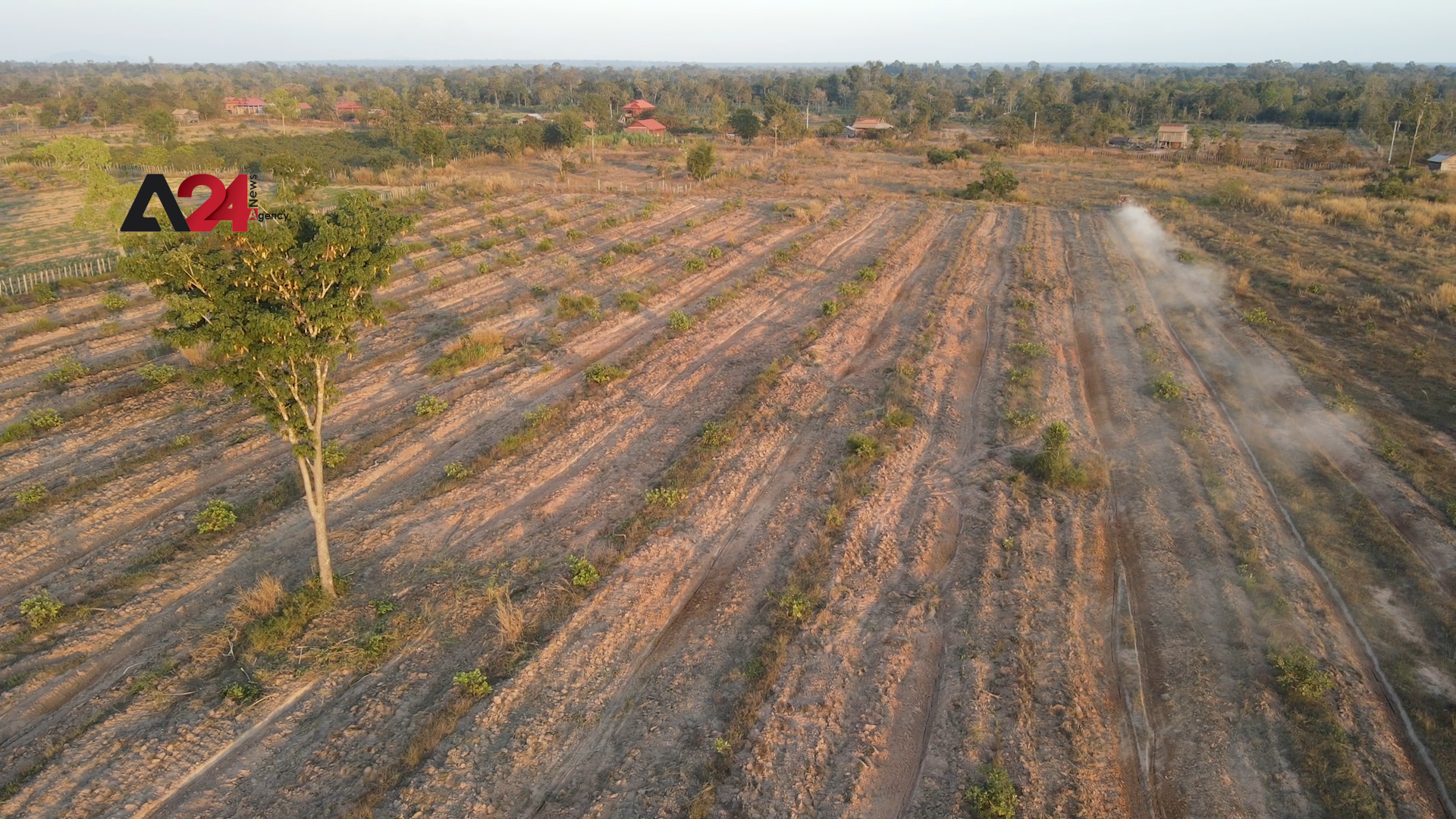 Cambodia – Cambodian farmers adopt ingenious ways to stem deforestation