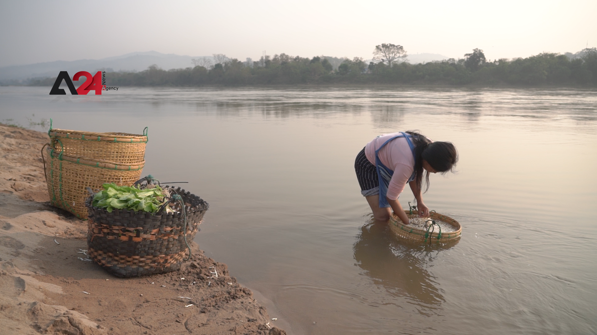 Thailand – Chiang Rai dams take toll on wildlife, farmers