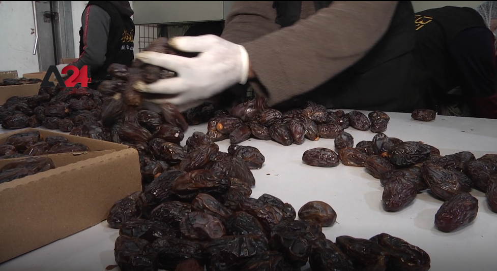 Palestine –Gaza prepares dates for distribution to markets with the start of Ramadan