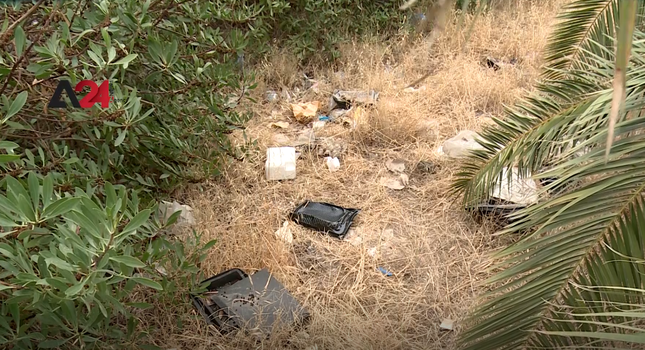 Tunisia – Volunteers join environment ministry clean-up campaign